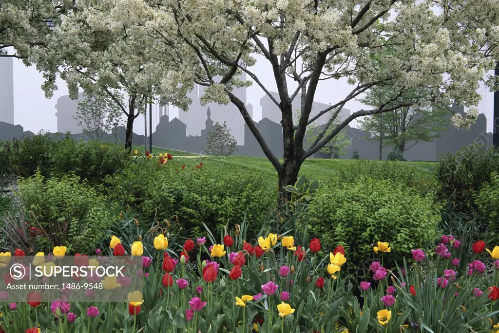 Flowers in a formal garden, City Center Mall, Columbus, Ohio, USA