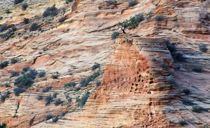 Zion National Park Utah USA