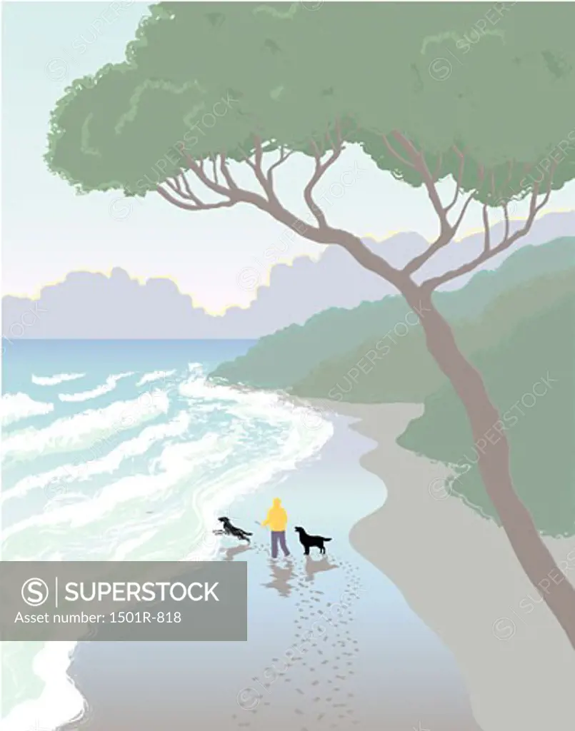 Rear view of a person throwing stick for two dogs on the beach