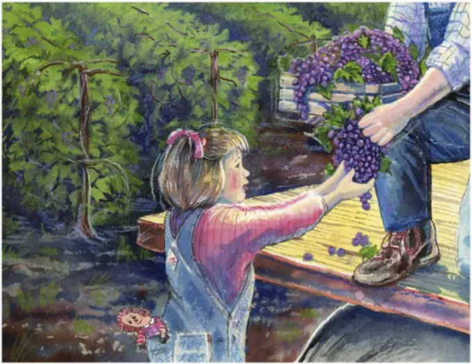 Grape Harvest  2003 Linda Braucht (20th C. American)