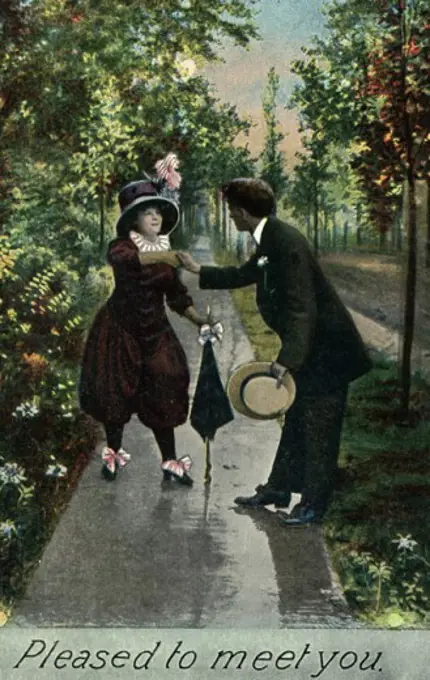 Pleased to Meet You 1910 Postcard Private Collection