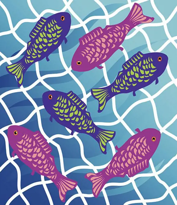 Fish in a Net  2003 Linda Braucht (20th C. American) Computer graphics 