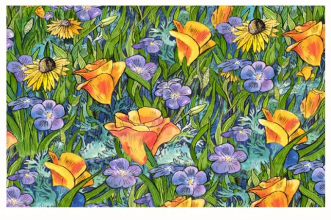 Poppies &  Wildflowers 2003 Linda Braucht  (20th C.  American) Computer graphics