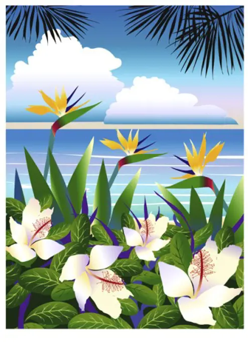 Tropical Beach  2004  Linda Braucht ( 20th C. American) Computer graphics