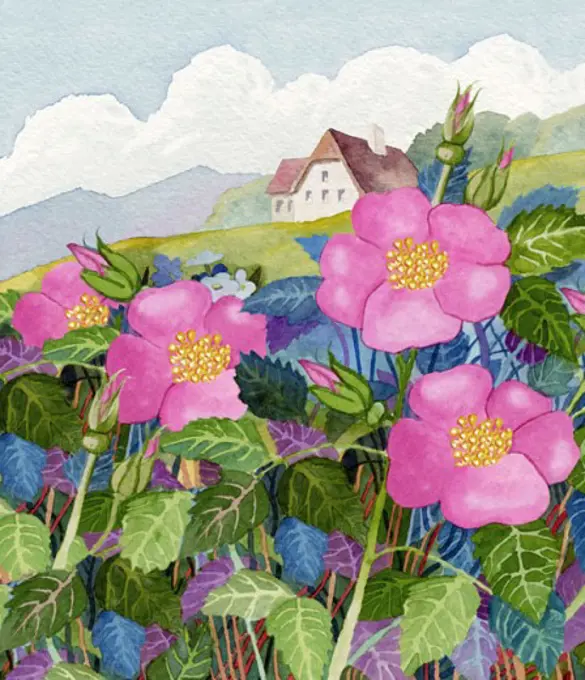 European Cottage & Roses Linda Braucht (20th C. American) Watercolor