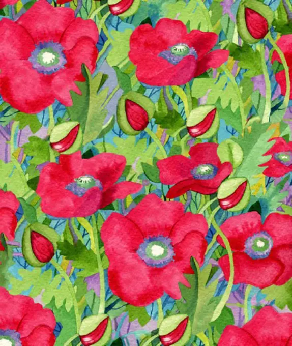 Poppy Splash Linda Braucht (20th C. American) Watercolor