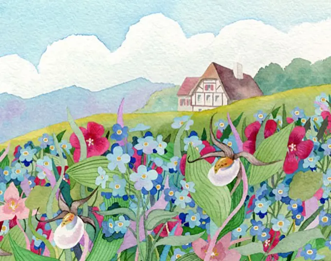 Wildflower Cottage Linda Braucht (20th C. American) Watercolor