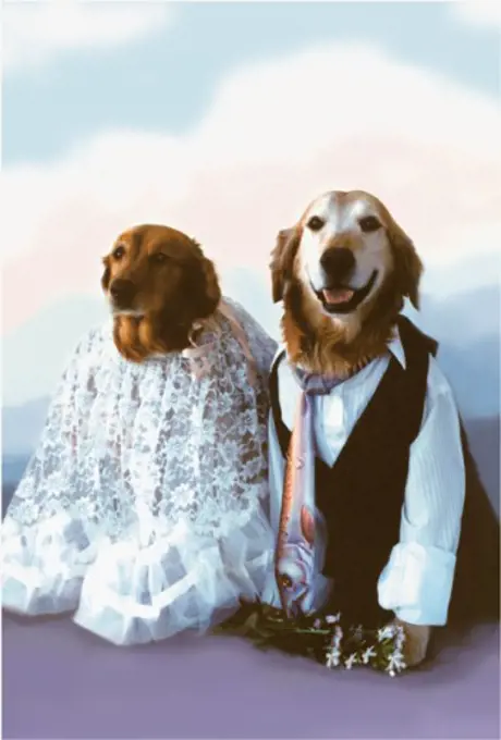 Two Golden Retrievers dressed in clothes