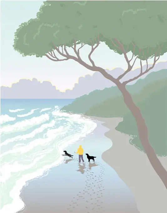 Rear view of a person throwing stick for two dogs on the beach