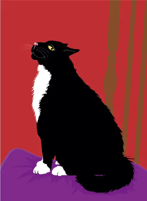 Tuxedo Cat, Linda Braucht (20th Century/American), Computer Graphics