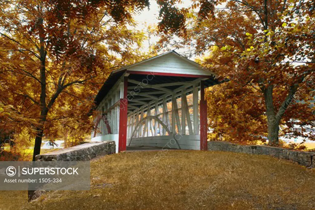 Covered bridge in a forest, Dr. Knisley Covered Bridge, Bedford, Pennsylvania, USA