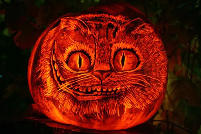 Cat's face on a jack o' lantern, Roger Williams Park Zoo, Providence, Rhode Island, USA