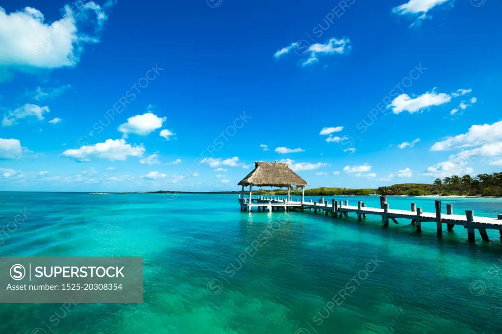 beautiful beach and tropical sea