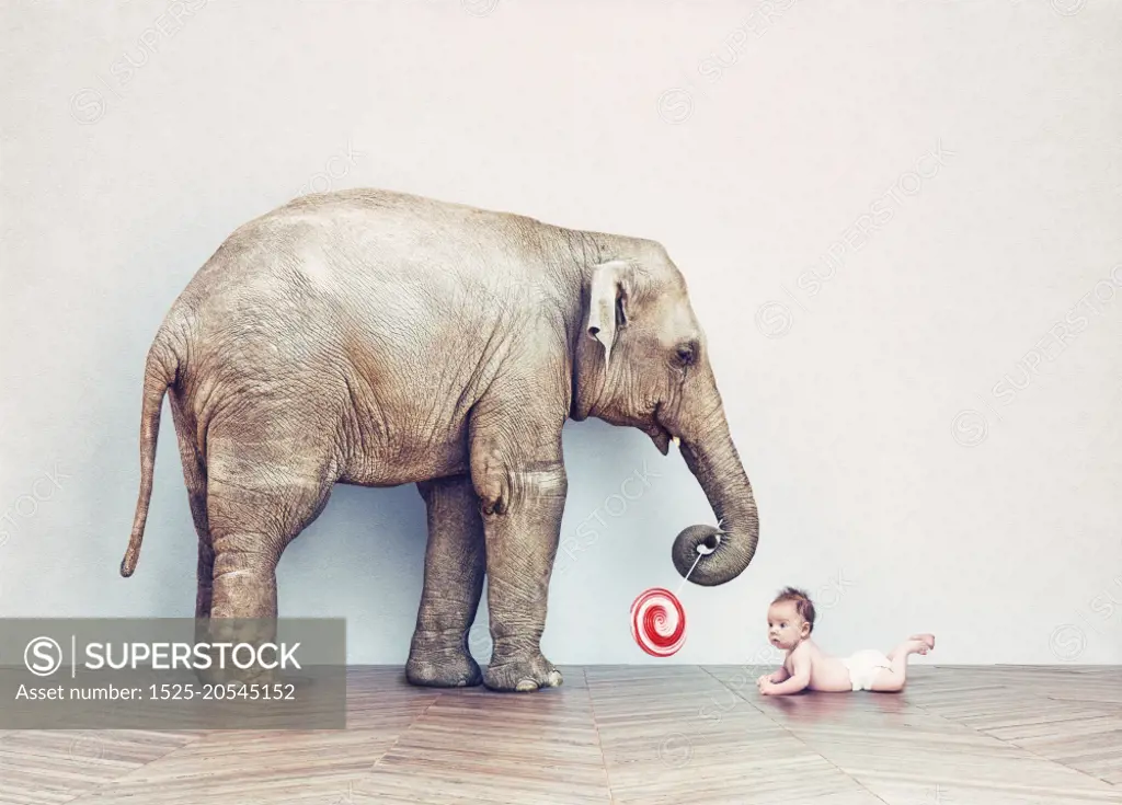 baby elephant and human baby in an empty room. Photo combination concept