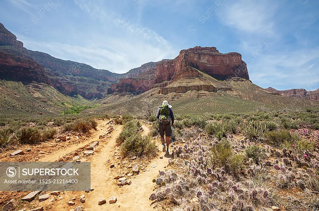 Hike in Grand Canyon