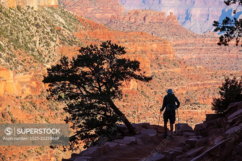 Hike in Grand Canyon