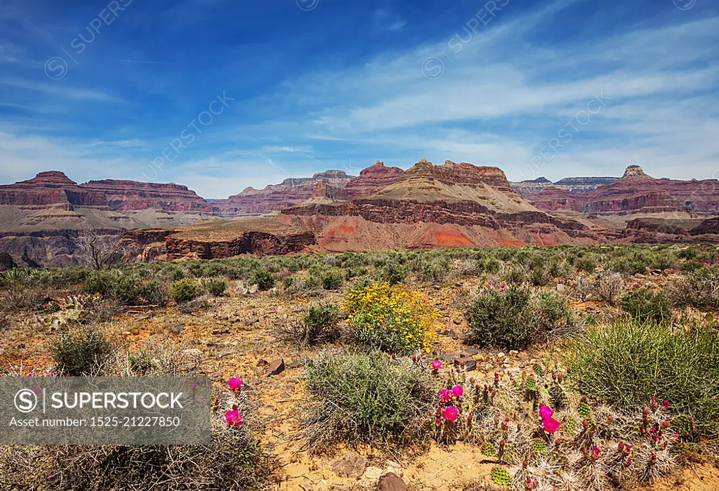 Grand Canyon