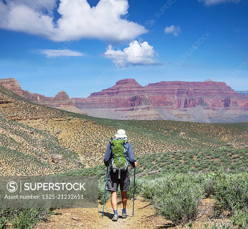 Hike in Grand Canyon