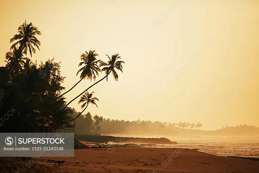 Tropical beach