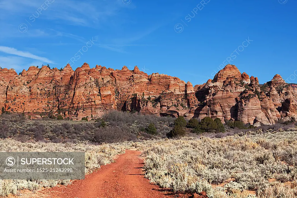 Zion national park