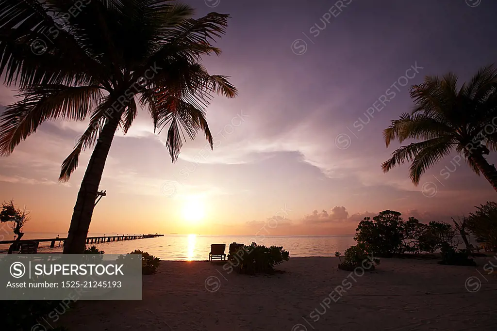 Tropical beach