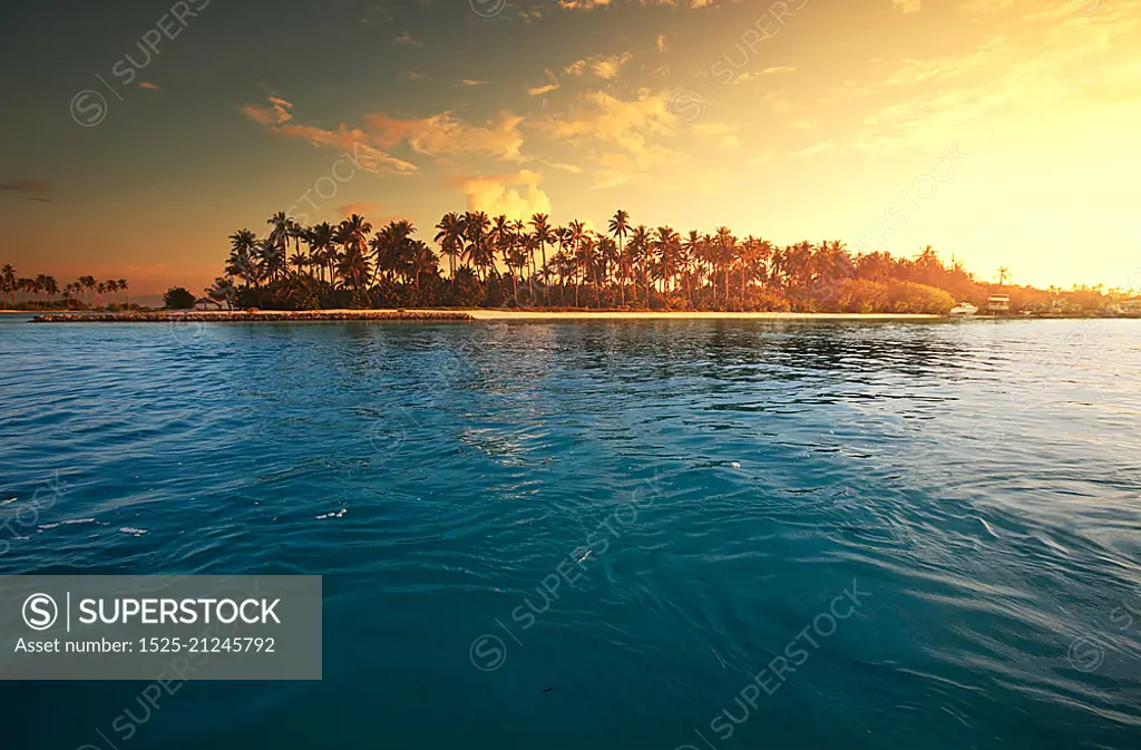 Tropical beach