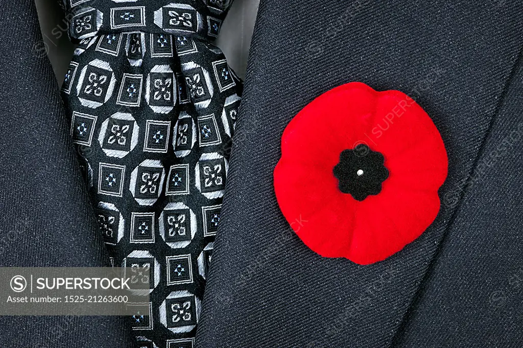 Remembrance Day poppy on suit