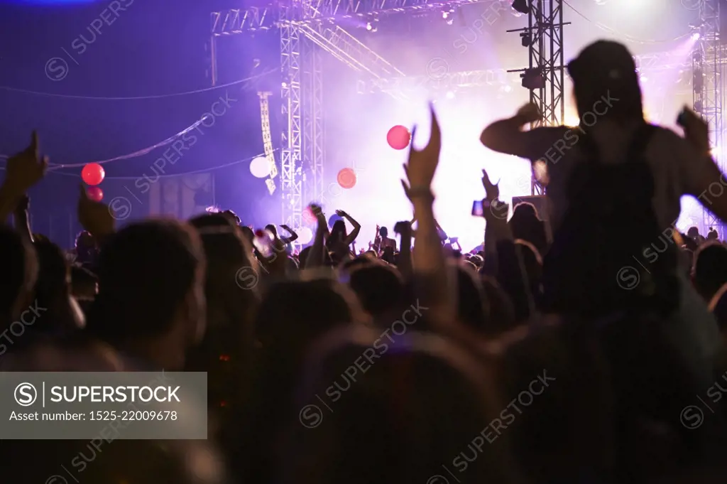 Audience Enjoying Themselves Music Concert