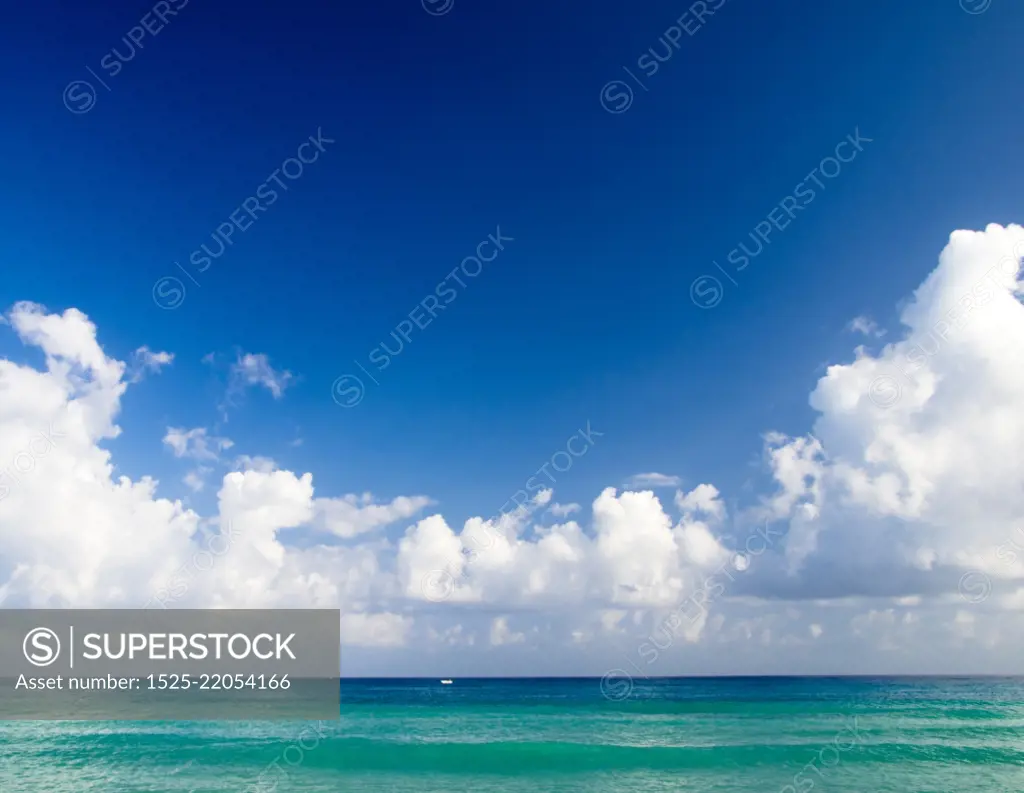 beautiful beach and tropical sea