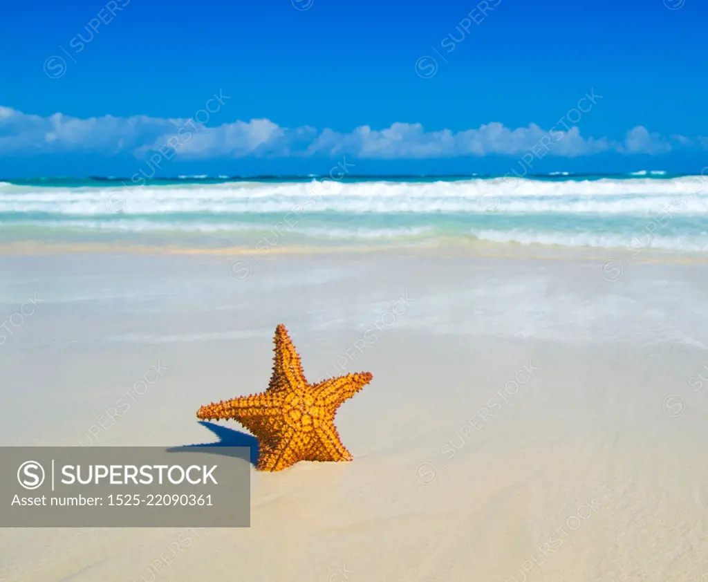 beautiful beach and tropical sea