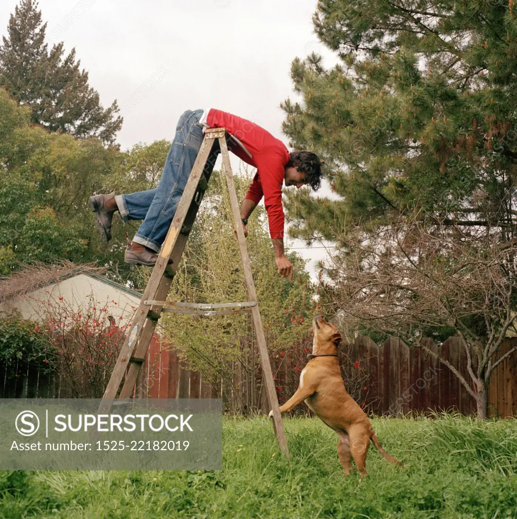 Man Playing On A Ladder With His Dog In The Back Yard