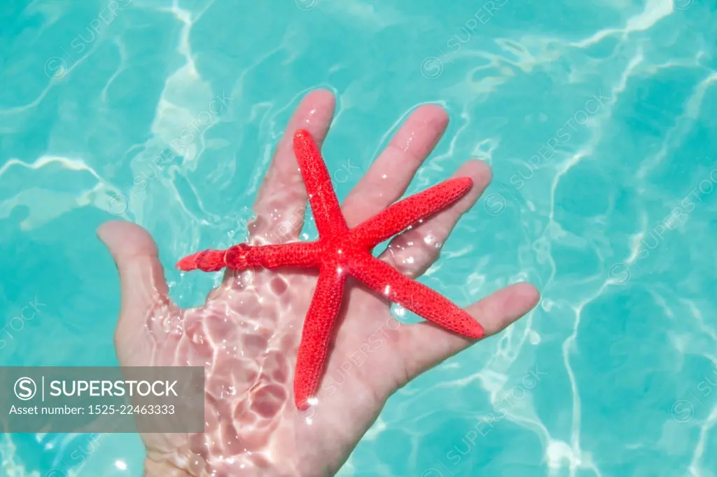 Red starfish in human hand floating in turquoise tropical beach