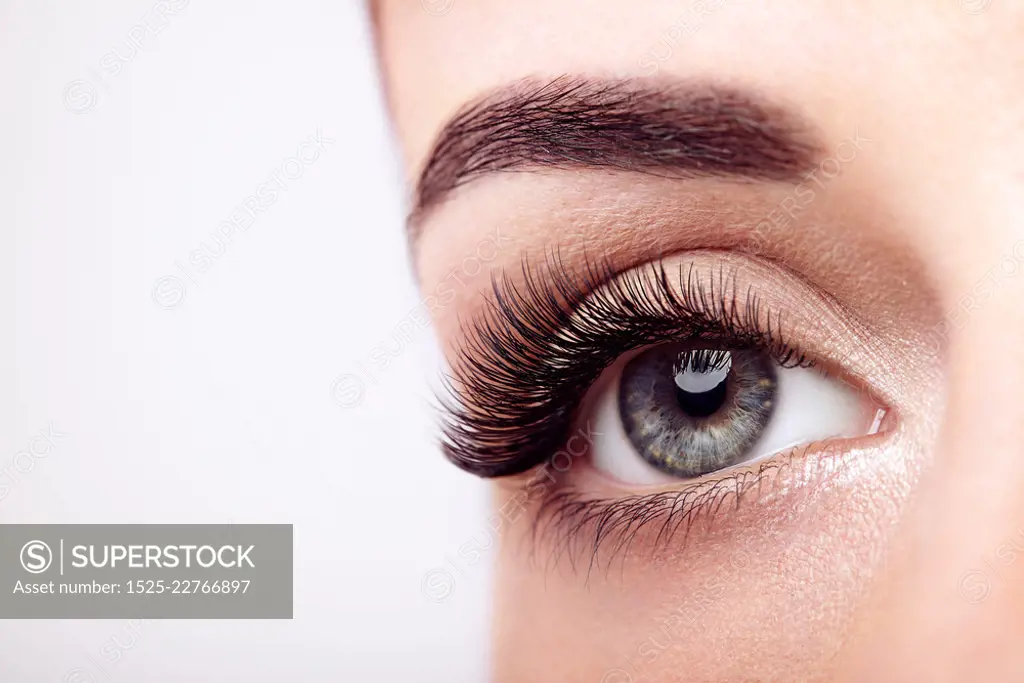 Female Eye with Extreme Long False Eyelashes. Eyelash Extensions. Makeup, Cosmetics, Beauty. Close up, Macro