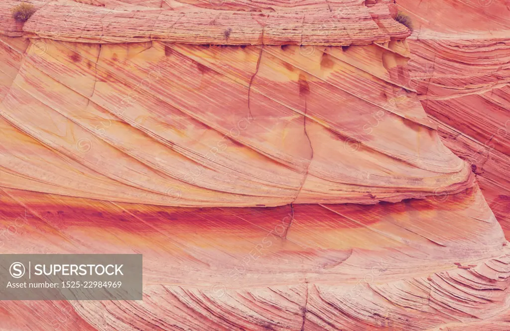 Natural sandstone texture. Natural pattern, CORAL colors. Natural texture concept.