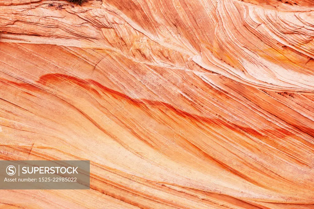 Natural sandstone texture. Natural pattern, CORAL colors. Natural texture concept.