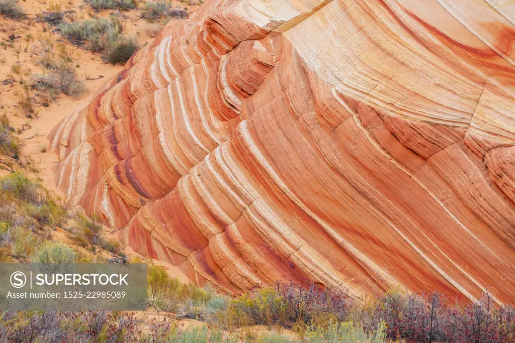 Sandstone formations in Utah, USA. Beautiful Unusual landscapes. Living coral color toning.