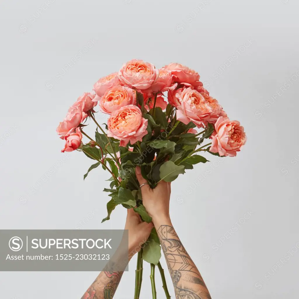 Beautiful bouquet of fresh roses in woman&rsquo;s hands with tatoo in a color of the year 2019 Living Coral Pantone on a gray background with copy space. Top view.. Girl&rsquo;s hands with tattoo hold a bouquet of fresh roses in a color of the year 2019 Living Coral Pantone on a gray background.