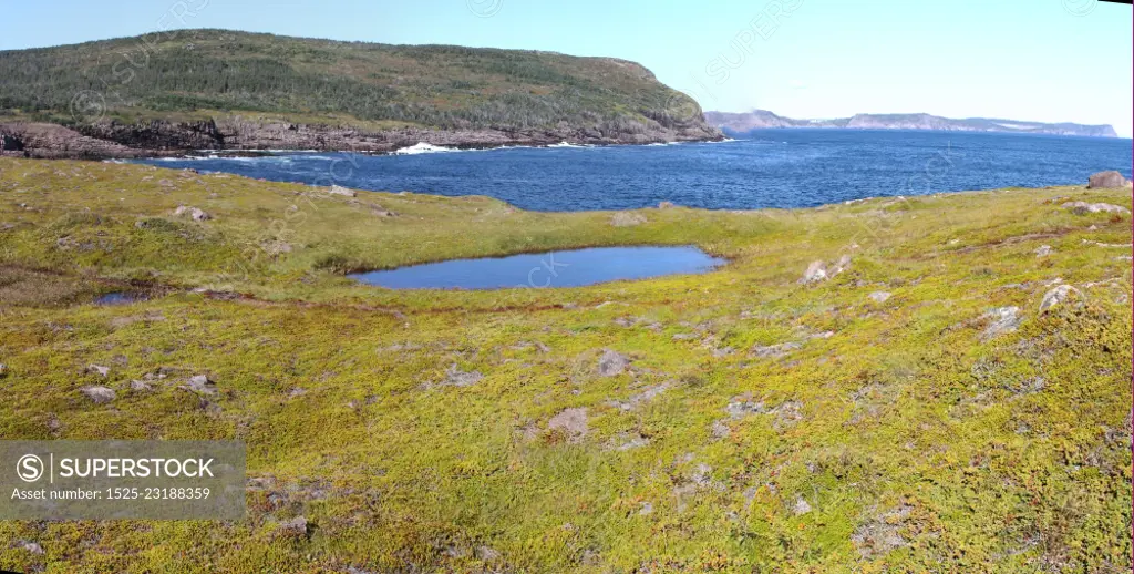 View of cape spear