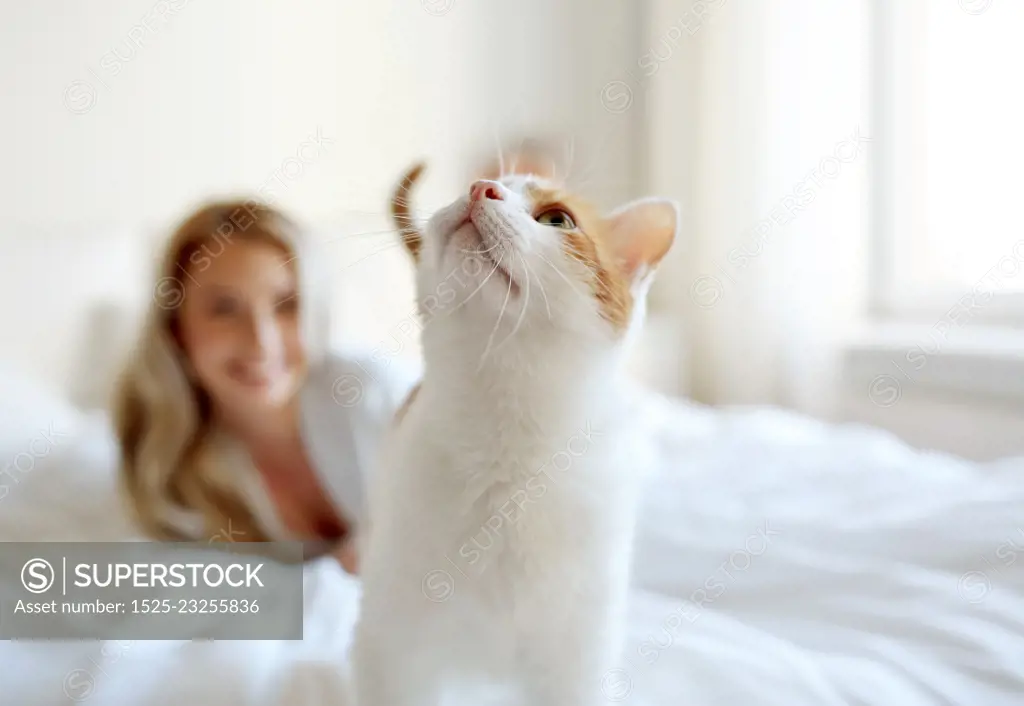 pets, animals and people concept - happy young woman with cat in bed at home