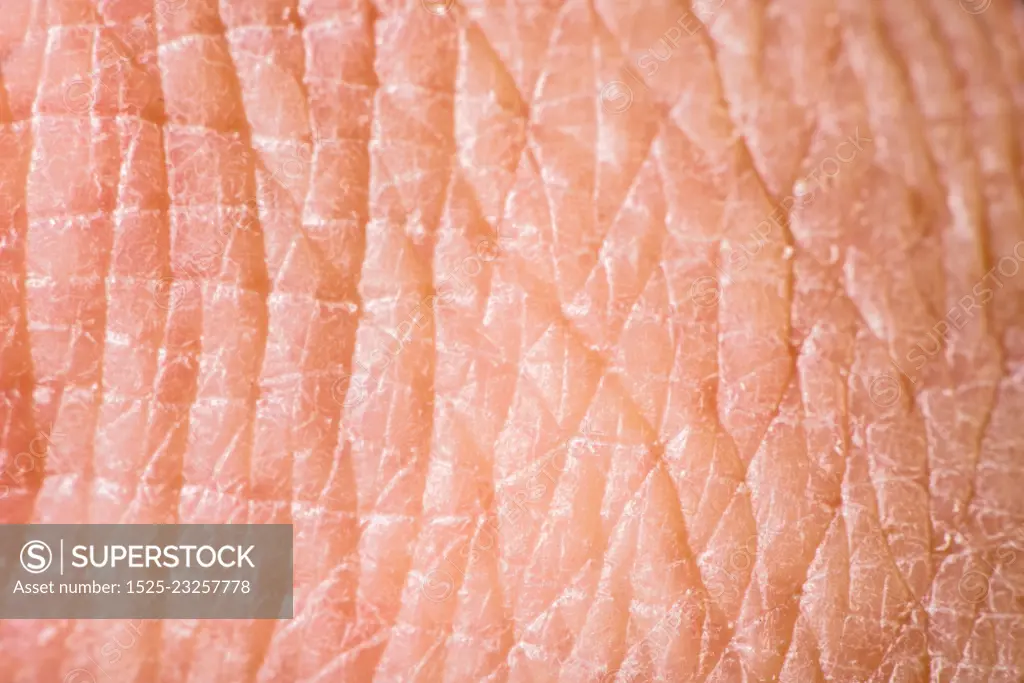 Texture of human skin. Extreme close up macro shot