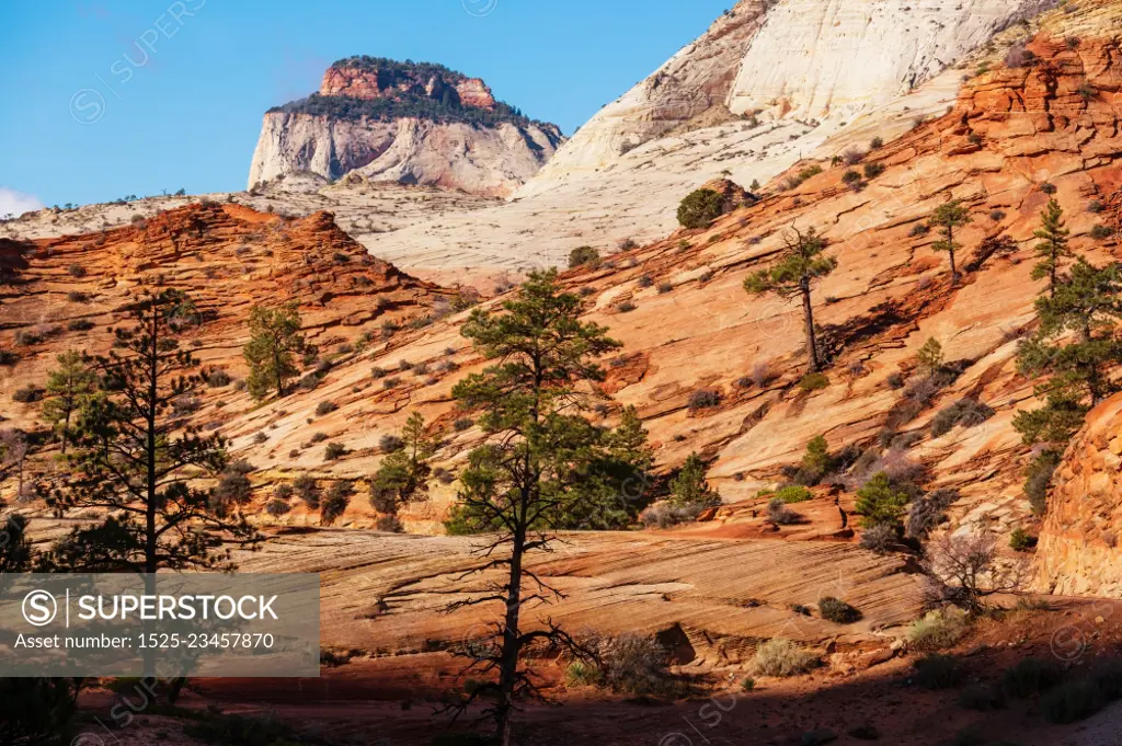 Zion National Park