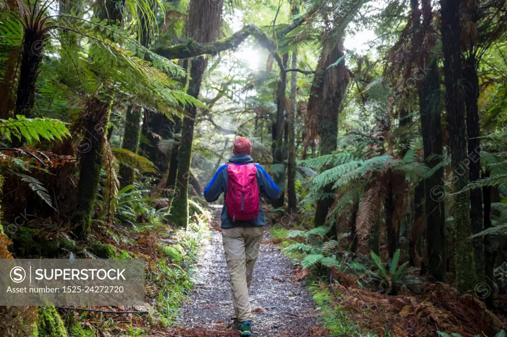 Hiking and tramping in New Zealand. Travel and adventure concept