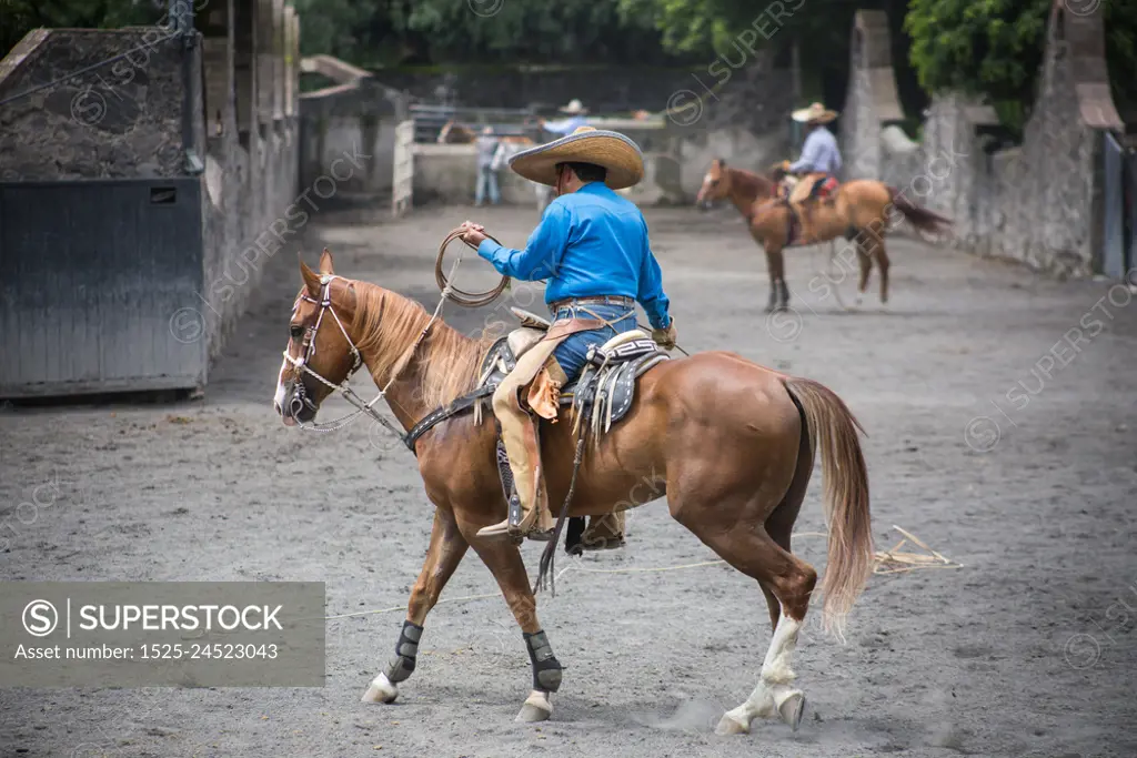 Traditional Rodeo Show in Mexico City.