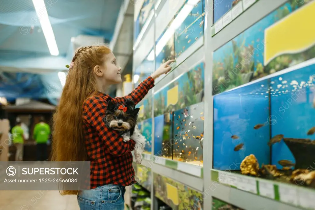 Little girl with puppy looking on fishes in aquarium, pet store. Child buying equipment in petshop, accessories for domestic animals. Girl looking on fishes in aquarium, pet store