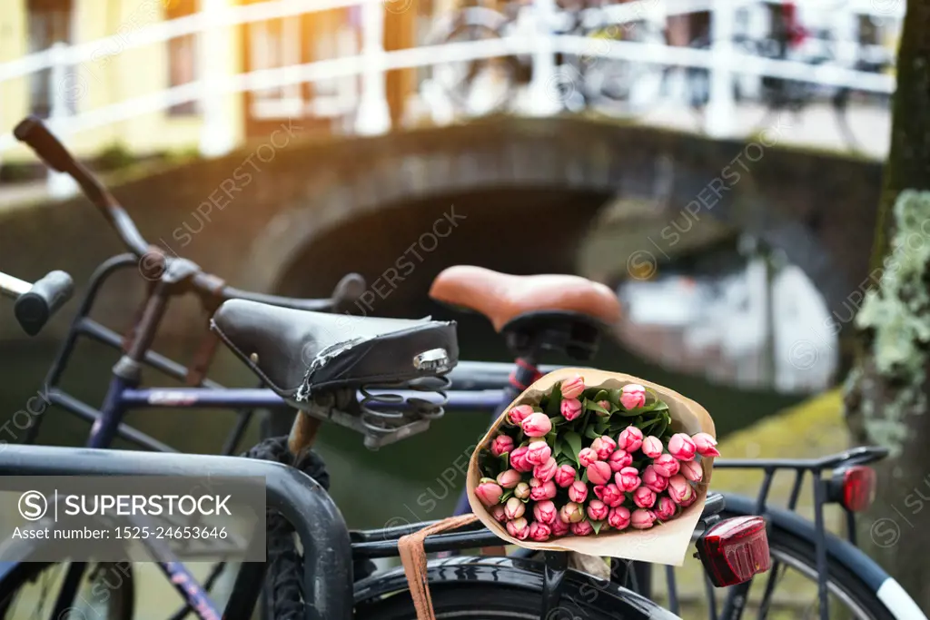 beautiful pink tulips on a old bike at the Amsterdam