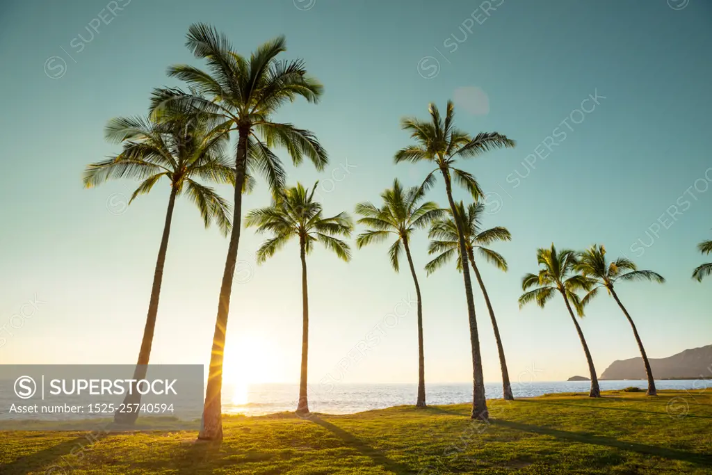 Hawaiian beach. Amazing hawaiian beach