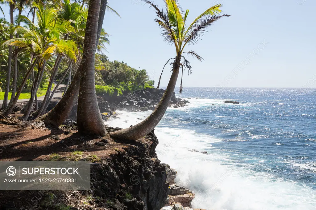 Hawaiian beach. Amazing hawaiian beach