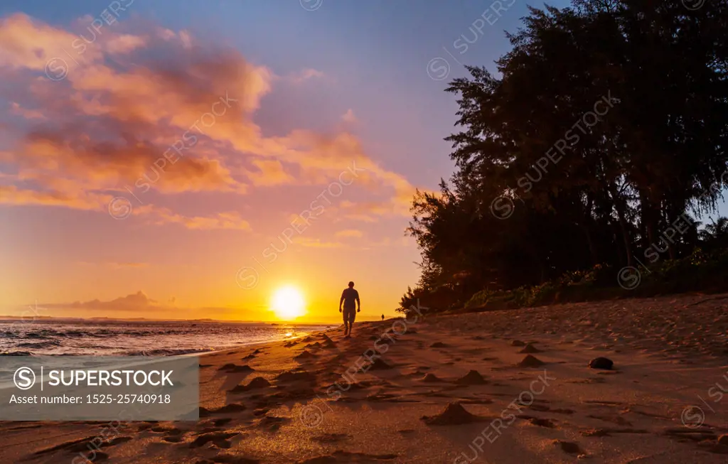 Hawaiian beach. Amazing hawaiian beach