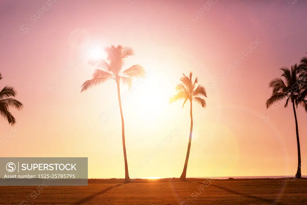 Tropical beach. Serenity on the tropical beach