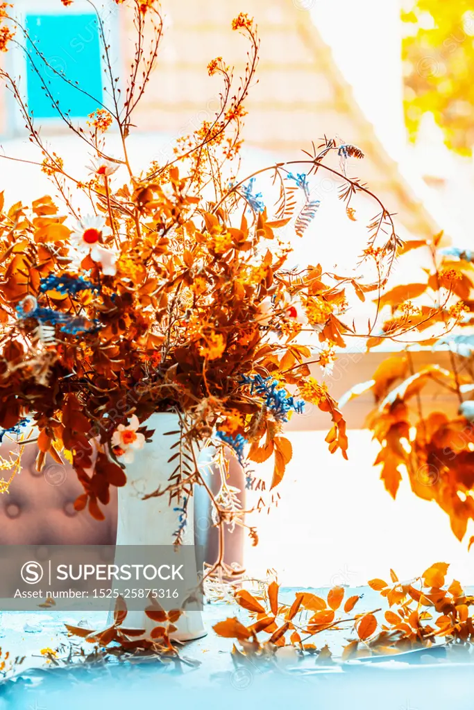 Autumn  flowers bunch in vase on blue table at window with sunshine. Cozy home interior decoration. Fall still life, front view